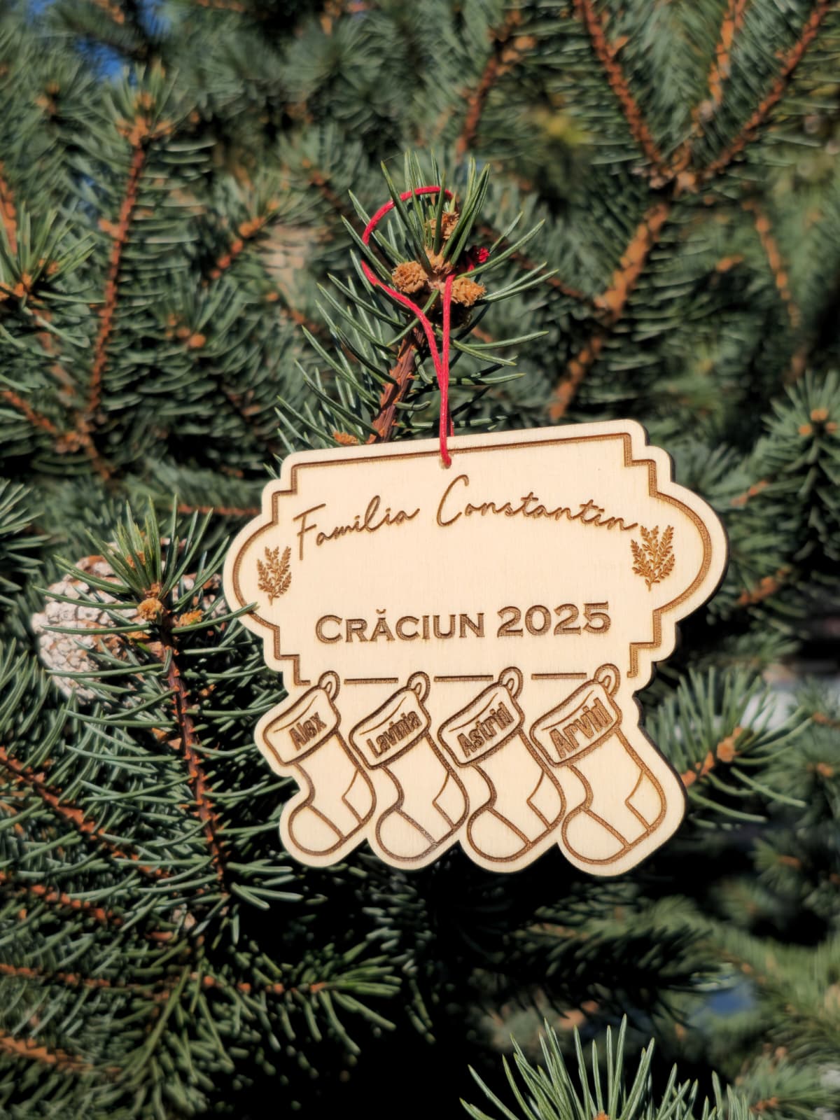 Glob șosetele familiei gravat