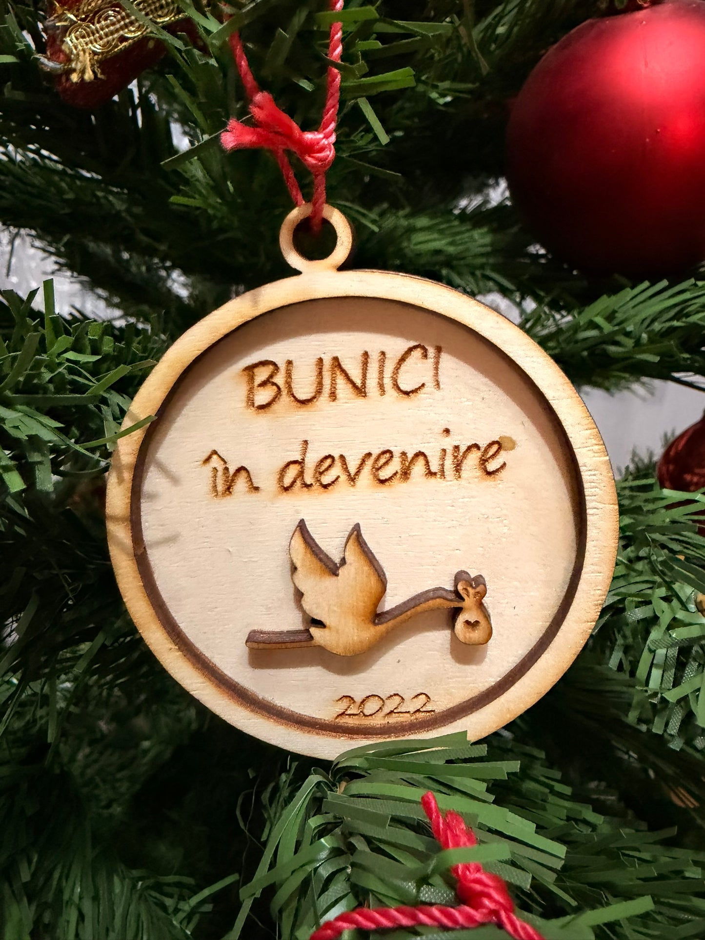 Glob Bunici în devenire