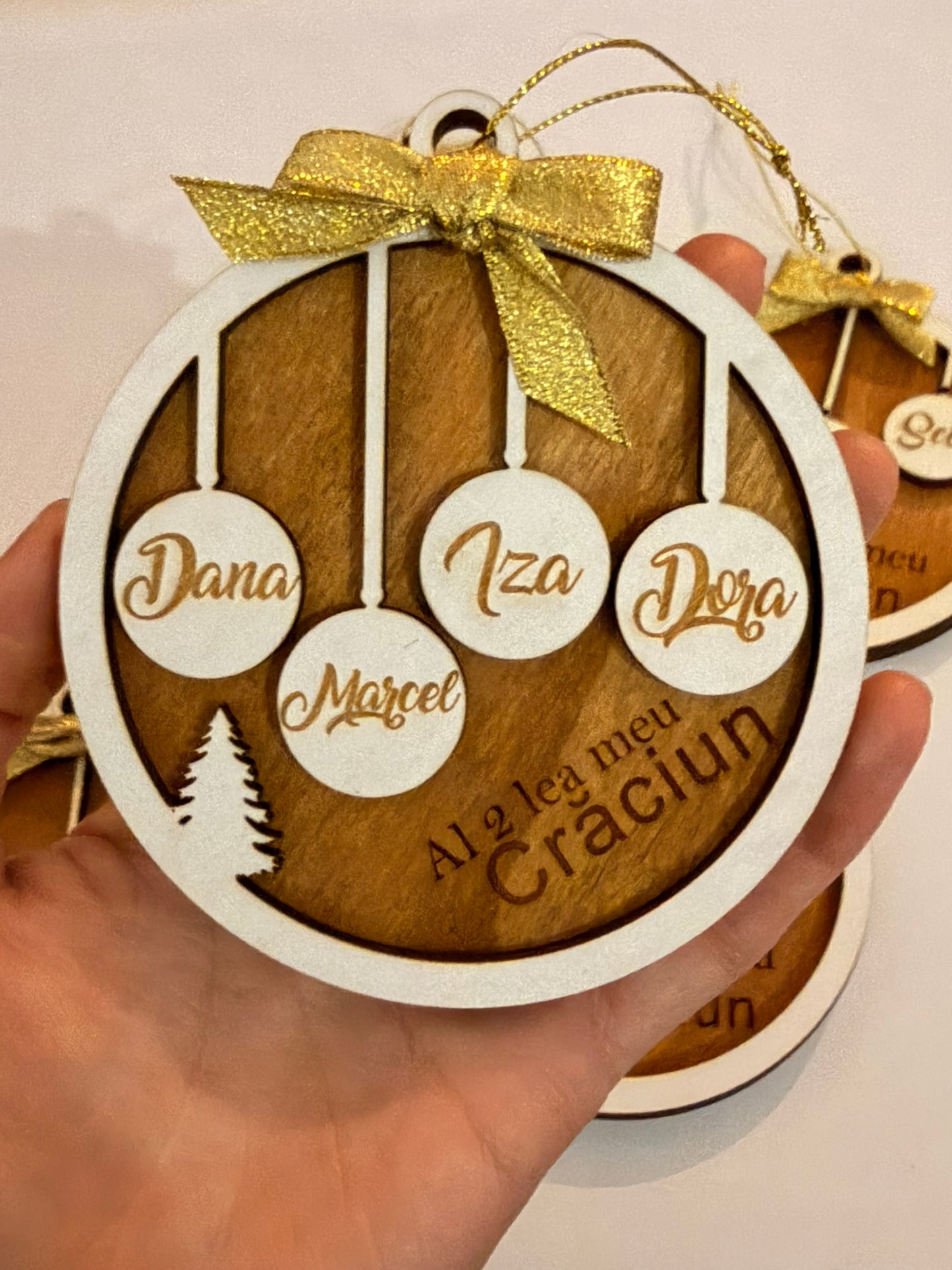 Glob „Our Family” – Inima Sărbătorilor în Casa Voastră